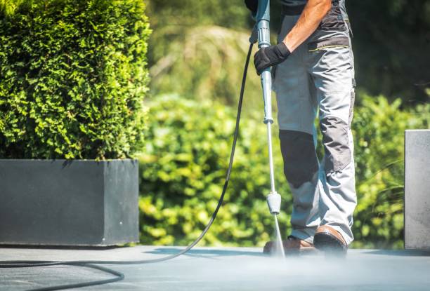 Best Patio and Deck Pressure Washing  in The Villages, FL