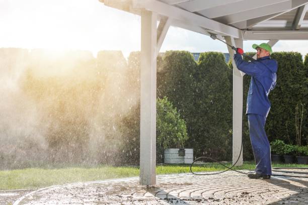 Best Sidewalk and Walkway Cleaning  in The Villages, FL